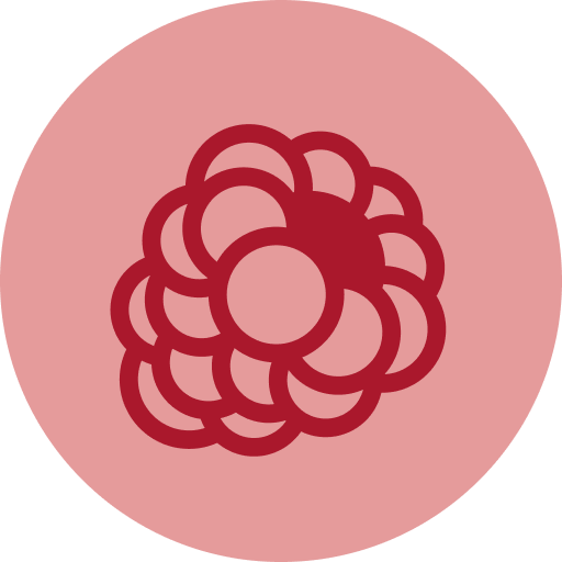 Raspberry